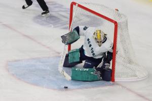 PWHL Boston vs New York on 1/20/2024
