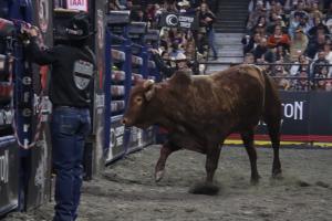 PBR Pendleton Whisky Velocity Tour 2023 at the DCU Center