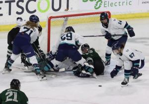 PWHL Boston vs New York on 1/20/2024