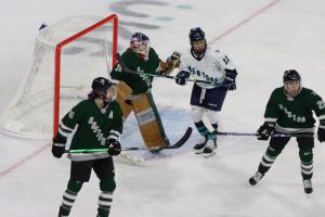 PWHL Boston vs New York on 1/20/2024