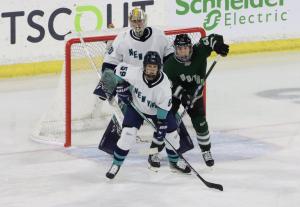 PWHL Boston vs New York on 1/20/2024