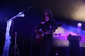 Pigeons Playing Ping Pong at the College Street Music Hall