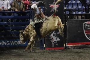 PBR Pendleton Whisky Velocity Tour at the DCU Center in Worcester, MA on February 24-25, 2024.