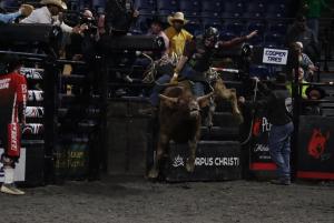 The PBR Pendleton Whisky Velocity Tour (Beatbox PBR Worcester) at the DCU Center in Worcester, Massachusetts February 22, 2025.
