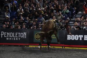 The PBR Pendleton Whisky Velocity Tour (Beatbox PBR Worcester) at the DCU Center in Worcester, Massachusetts February 22, 2025.