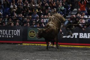 The PBR Pendleton Whisky Velocity Tour (Beatbox PBR Worcester) at the DCU Center in Worcester, Massachusetts February 22, 2025.