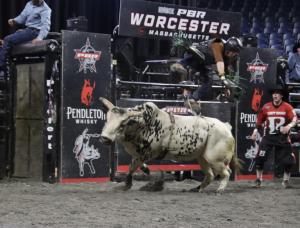 The PBR Pendleton Whisky Velocity Tour (Beatbox PBR Worcester) at the DCU Center in Worcester, Massachusetts February 22, 2025.