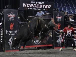 The PBR Pendleton Whisky Velocity Tour (Beatbox PBR Worcester) at the DCU Center in Worcester, Massachusetts February 22, 2025.