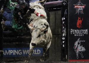 The PBR Pendleton Whisky Velocity Tour (Beatbox PBR Worcester) at the DCU Center in Worcester, Massachusetts February 22, 2025.