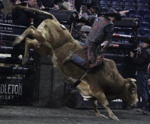 The PBR Pendleton Whisky Velocity Tour (Beatbox PBR Worcester) at the DCU Center in Worcester, Massachusetts February 23, 2025.