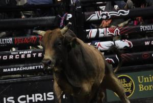 The PBR Pendleton Whisky Velocity Tour (Beatbox PBR Worcester) at the DCU Center in Worcester, Massachusetts February 23, 2025.