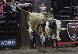 The PBR Pendleton Whisky Velocity Tour (Beatbox PBR Worcester) at the DCU Center in Worcester, Massachusetts February 23, 2025.