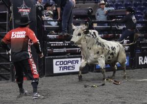 The PBR Pendleton Whisky Velocity Tour (Beatbox PBR Worcester) at the DCU Center in Worcester, Massachusetts February 23, 2025.
