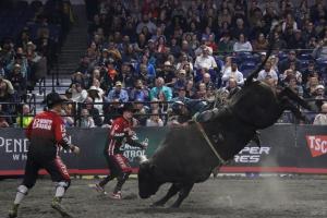 PBR Pendleton Whisky Velocity Tour at the DCU Center in Worcester, MA on February 24-25, 2024.