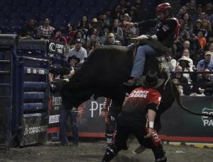 PBR Pendleton Whisky Velocity Tour at the DCU Center in Worcester, MA on February 24-25, 2024.