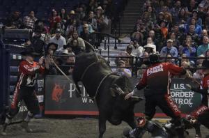 PBR Pendleton Whisky Velocity Tour at the DCU Center in Worcester, MA on February 24-25, 2024.