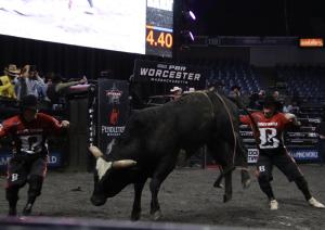 The PBR Pendleton Whisky Velocity Tour (Beatbox PBR Worcester) at the DCU Center in Worcester, Massachusetts February 23, 2025.
