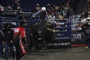 PBR Pendleton Whisky Velocity Tour at the DCU Center in Worcester, MA on February 24-25, 2024.