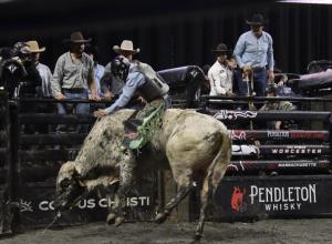 The PBR Pendleton Whisky Velocity Tour (Beatbox PBR Worcester) at the DCU Center in Worcester, Massachusetts February 23, 2025.