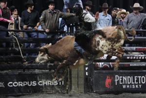 The PBR Pendleton Whisky Velocity Tour (Beatbox PBR Worcester) at the DCU Center in Worcester, Massachusetts February 23, 2025.