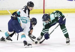 The Boston Fleet vs the New York Sirens at the Tsongas Center on 3/5/2025