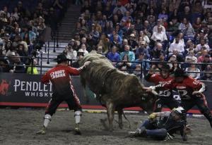 PBR Pendleton Whisky Velocity Tour at the DCU Center in Worcester, MA on February 24-25, 2024.