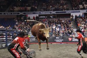 PBR Pendleton Whisky Velocity Tour at the DCU Center in Worcester, MA on February 24-25, 2024.