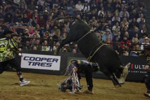 PBR Unleash the Beast came to Manchester, NH at the SNHU Arena on 12/20-21/2024.