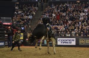PBR Unleash the Beast came to Manchester, NH at the SNHU Arena on 12/20-21/2024.