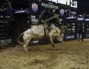 PBR Unleash the Beast came to Manchester, NH at the SNHU Arena on 12/20-21/2024.