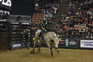 PBR Unleash the Beast came to Manchester, NH at the SNHU Arena on 12/20-21/2024.
