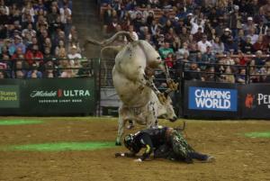 PBR Unleash the Beast came to Manchester, NH at the SNHU Arena on 12/20-21/2024.