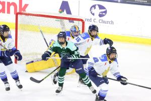 Boston Fleet vs Toronto Sceptres at the Tsongas Center on 1/22/2025