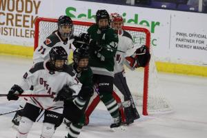 PWHL Boston vs Ottawa on 2/21/2024